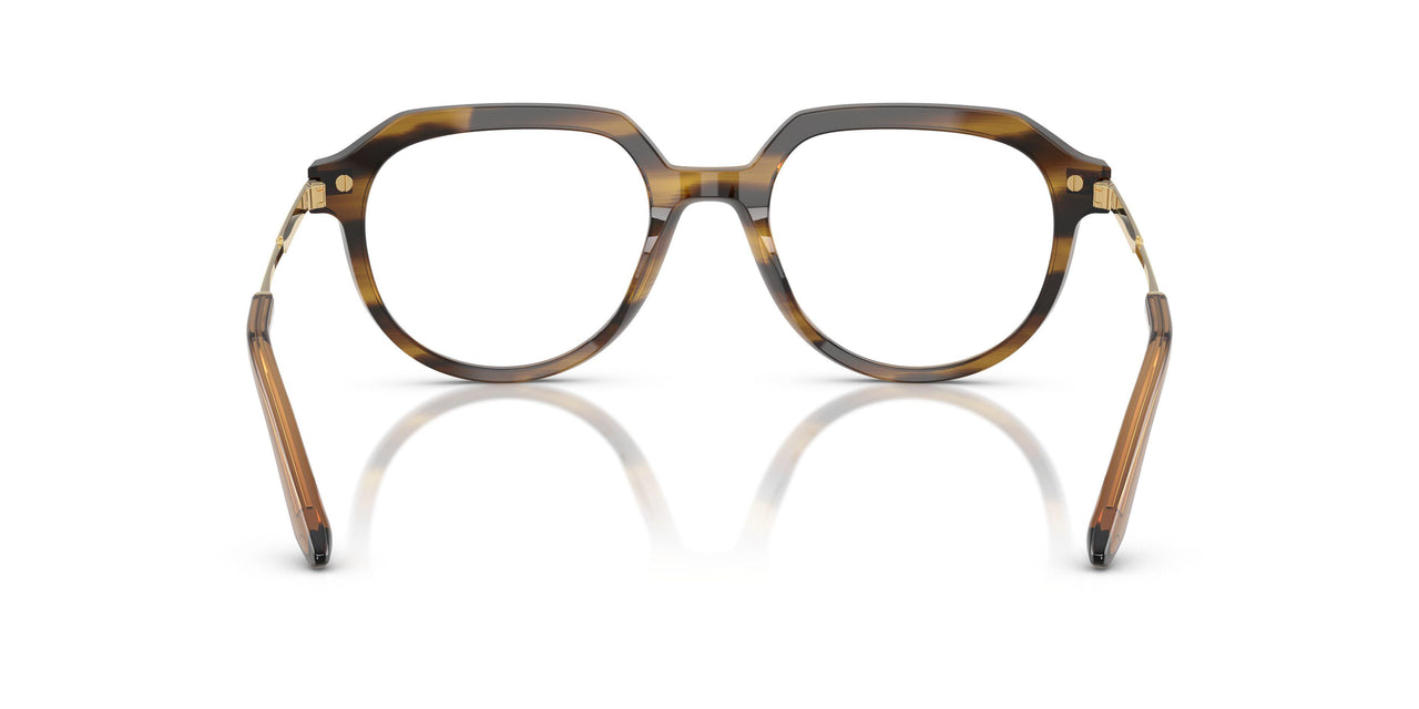 3446 - Brown