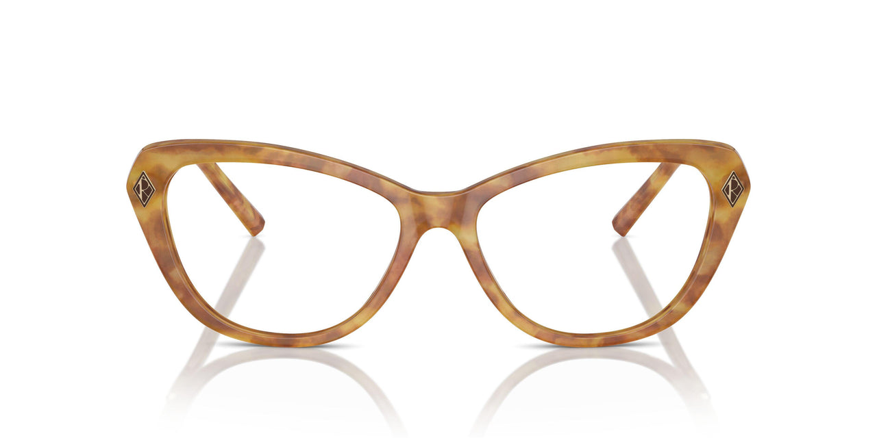 5304 - Tortoise