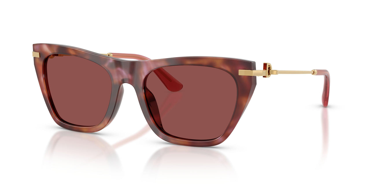 344475 - Tortoise - Dark Violet