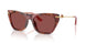 344475 - Tortoise - Dark Violet