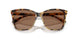 500473 - Brown - Brown