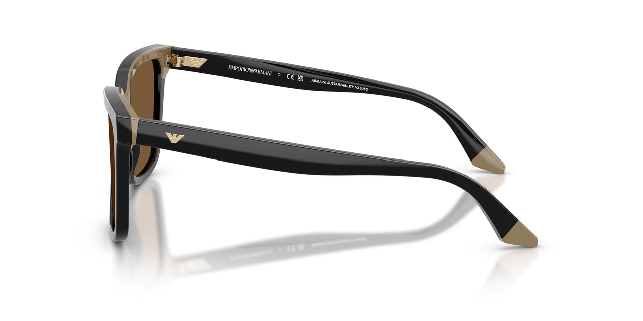 631373 - Black - Brown