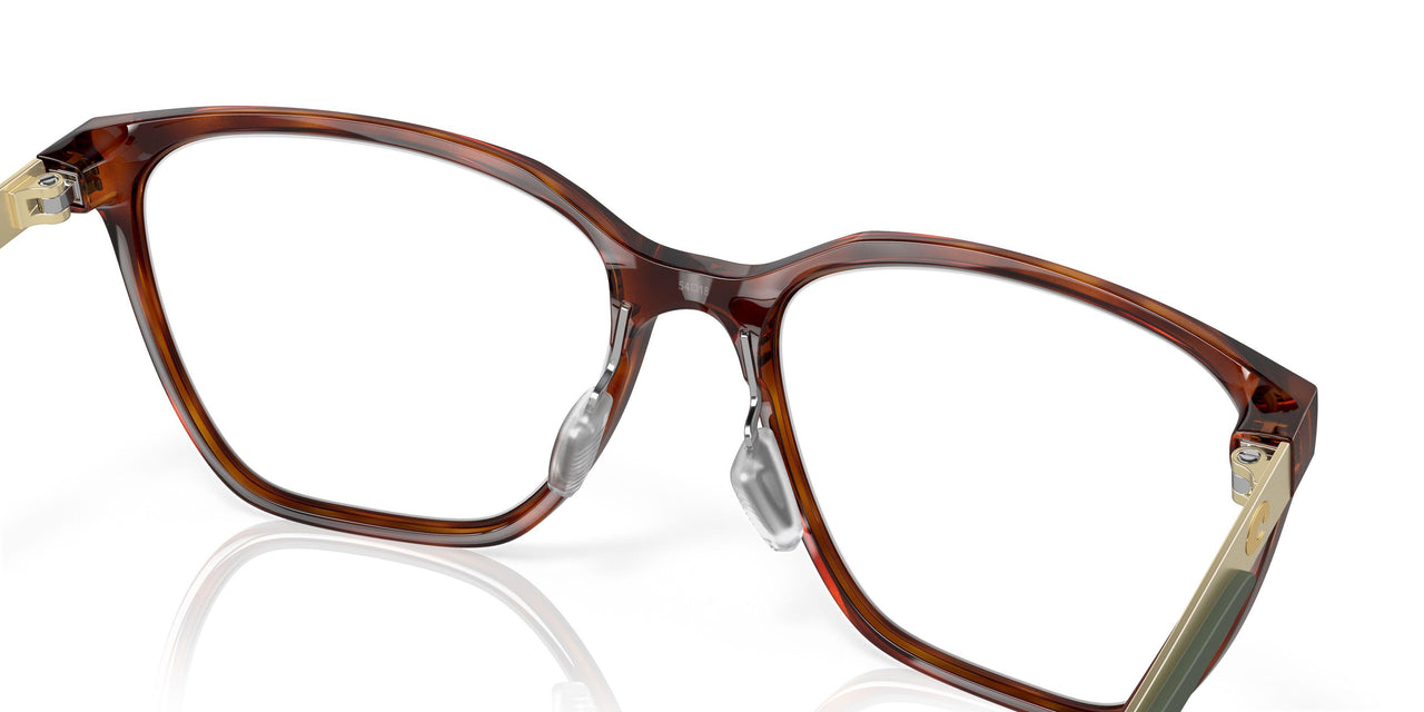 801302 - Tortoise