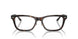 8287 - Tortoise - Clear