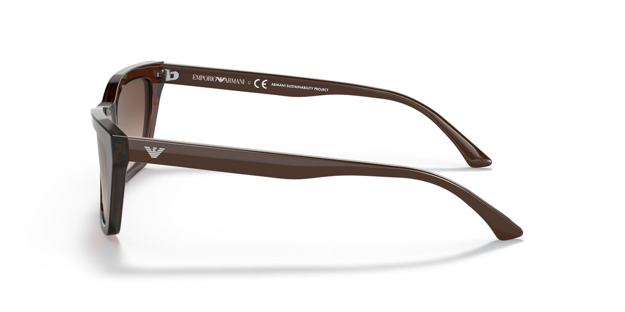 591013 - Brown - Gradient Brown