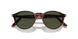 901531 - Tortoise - Green