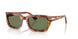 106/GJ - Tortoise - Transitions 8 Green