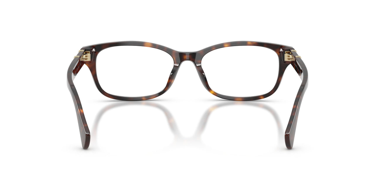 5003 - Tortoise