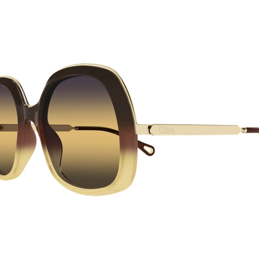 003 - Brown/Gold - Yellow
