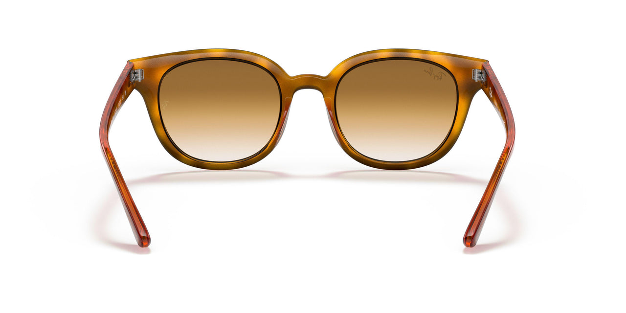 647551 - Yellow Light Havana - Clear Gradient Brown