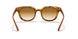 647551 - Yellow Light Havana - Clear Gradient Brown