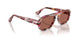 1220H2 - Multicolor - Brown