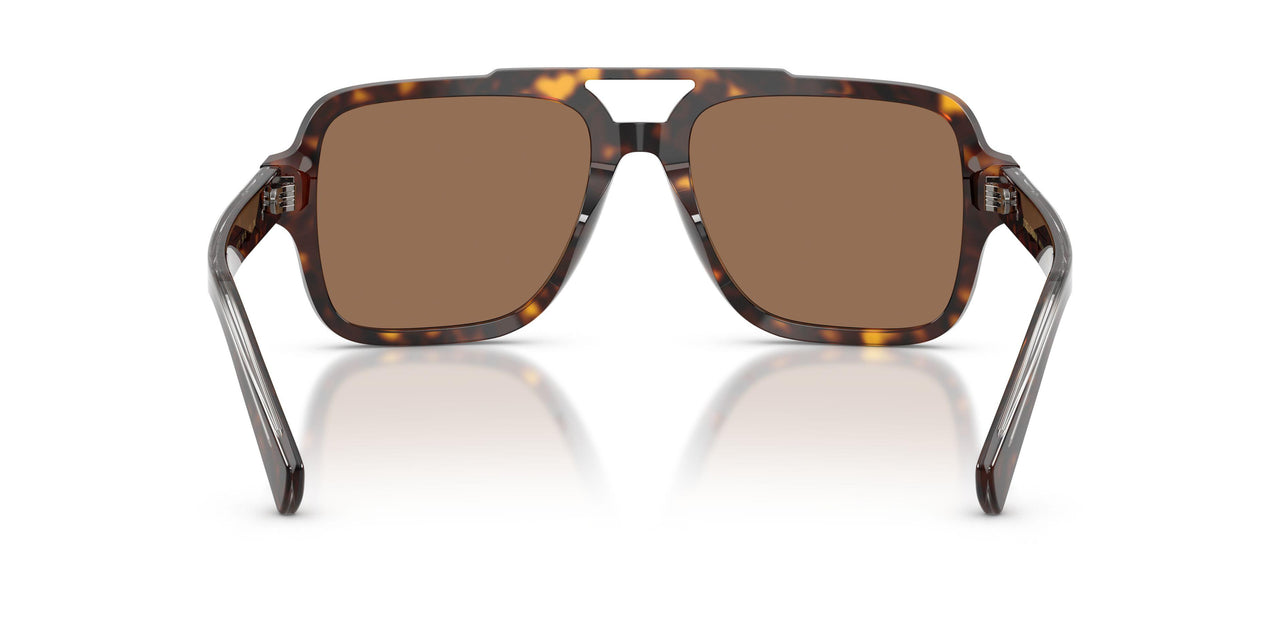 502/73 - Tortoise - Dark Brown