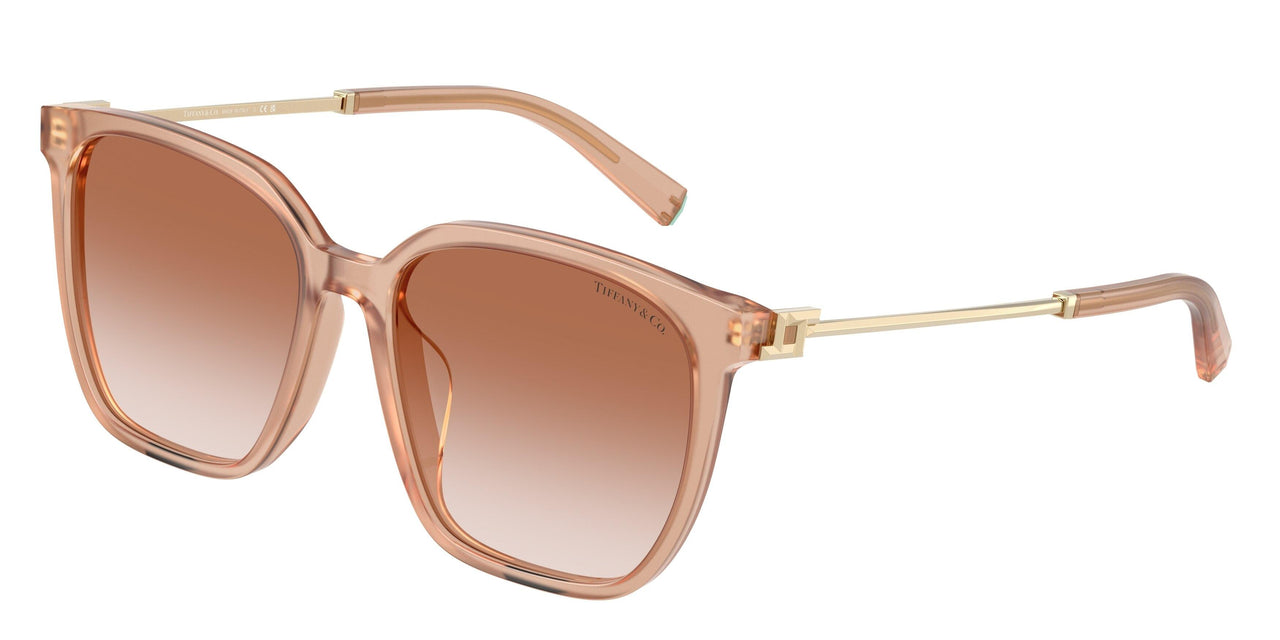 Tiffany 4244D Sunglasses