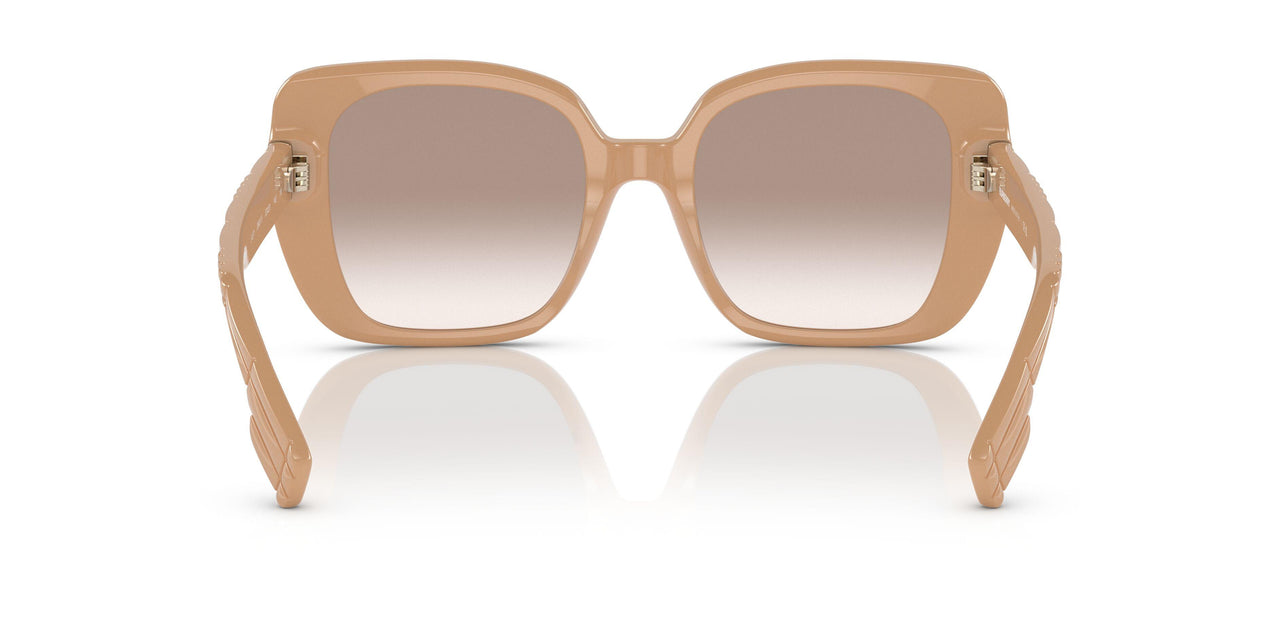 399013 - Brown - Brown Gradient