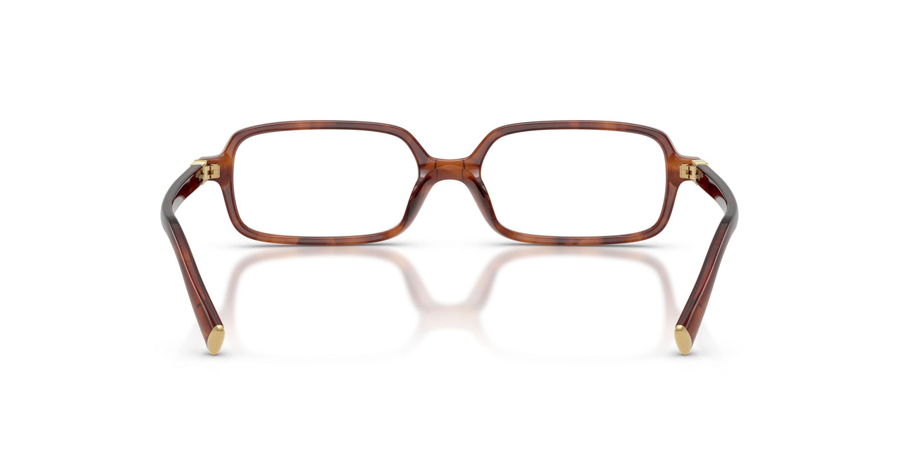 26E1O1 - Brown