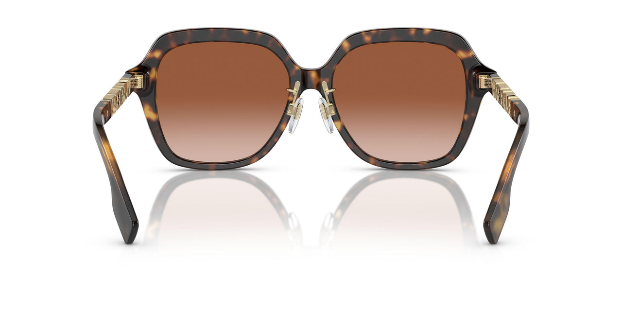 300213 - Brown - Brown Gradient