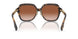 300213 - Brown - Brown Gradient
