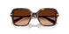 100274 - Tortoise - Gradient Brown