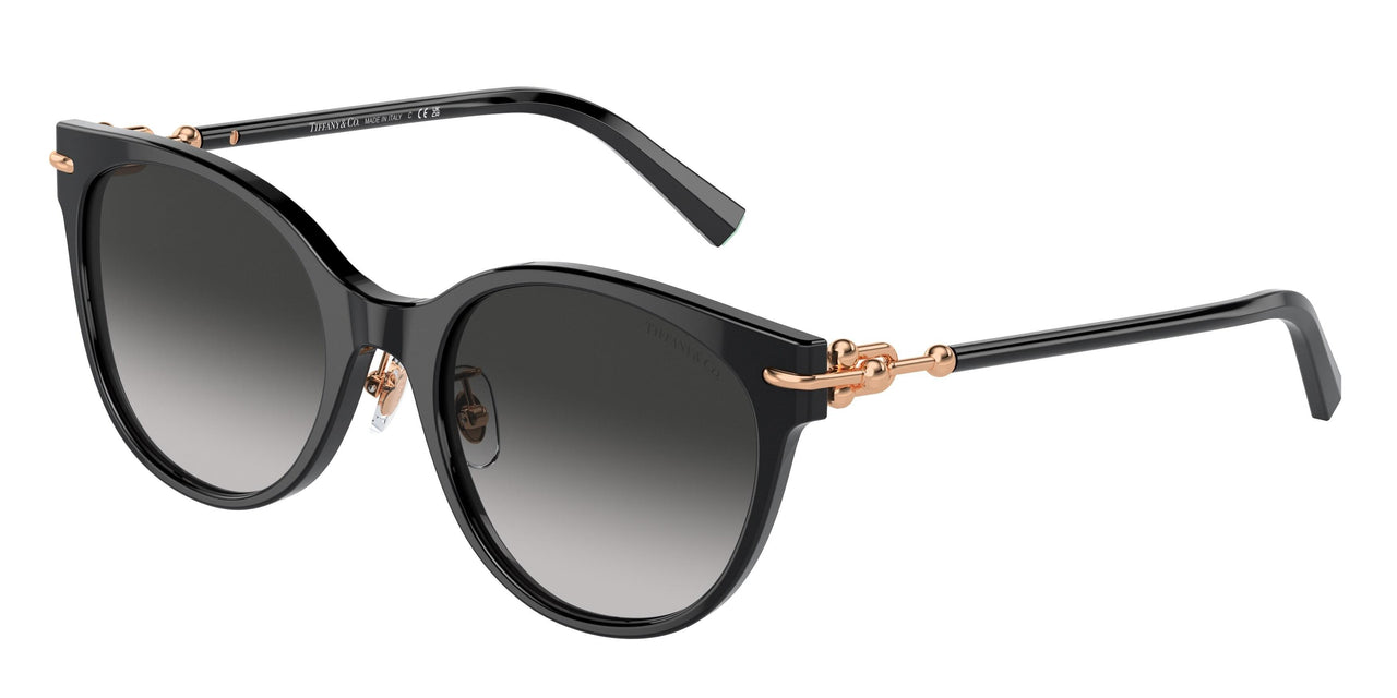 Tiffany 4223D Sunglasses