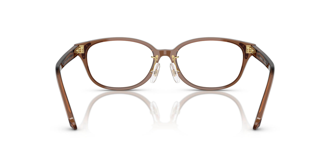 1067 - Brown