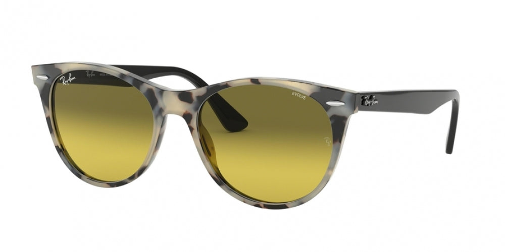Ray-Ban Wayfarer Ii 2185 Sunglasses