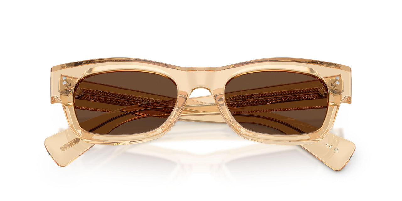 1766AN - Brown - Terra Polarized