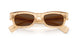 1766AN - Brown - Terra Polarized