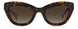 0O63-HA - HAVANA RED - Brown Gradient