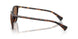500373 - Brown - Brown