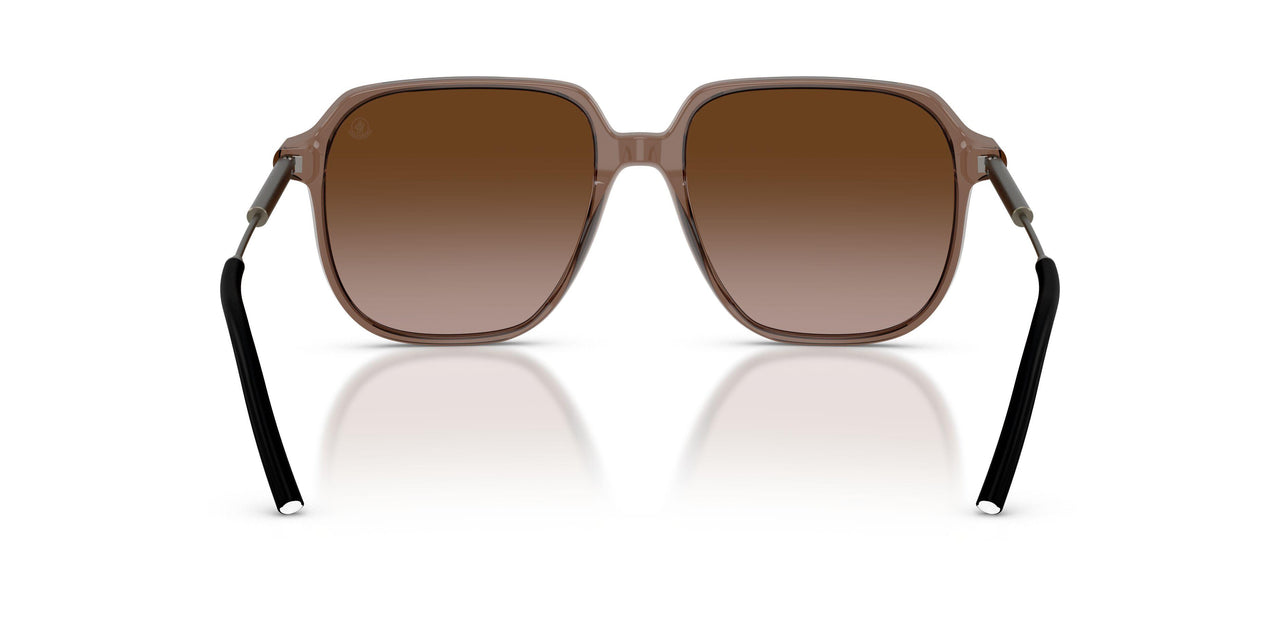 301813 - Brown - Gradient Brown