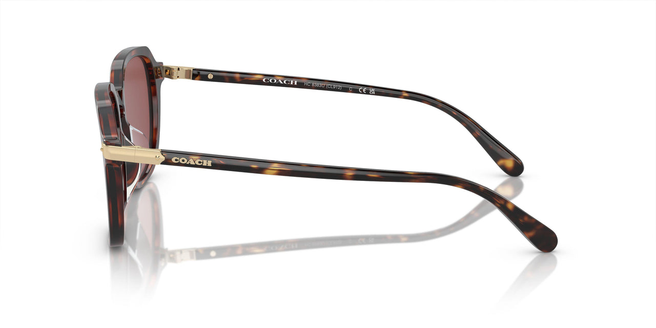 579875 - Dark Tortoise/caramel Tortoise - Violet