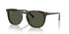 902/31 - Tortoise - Green