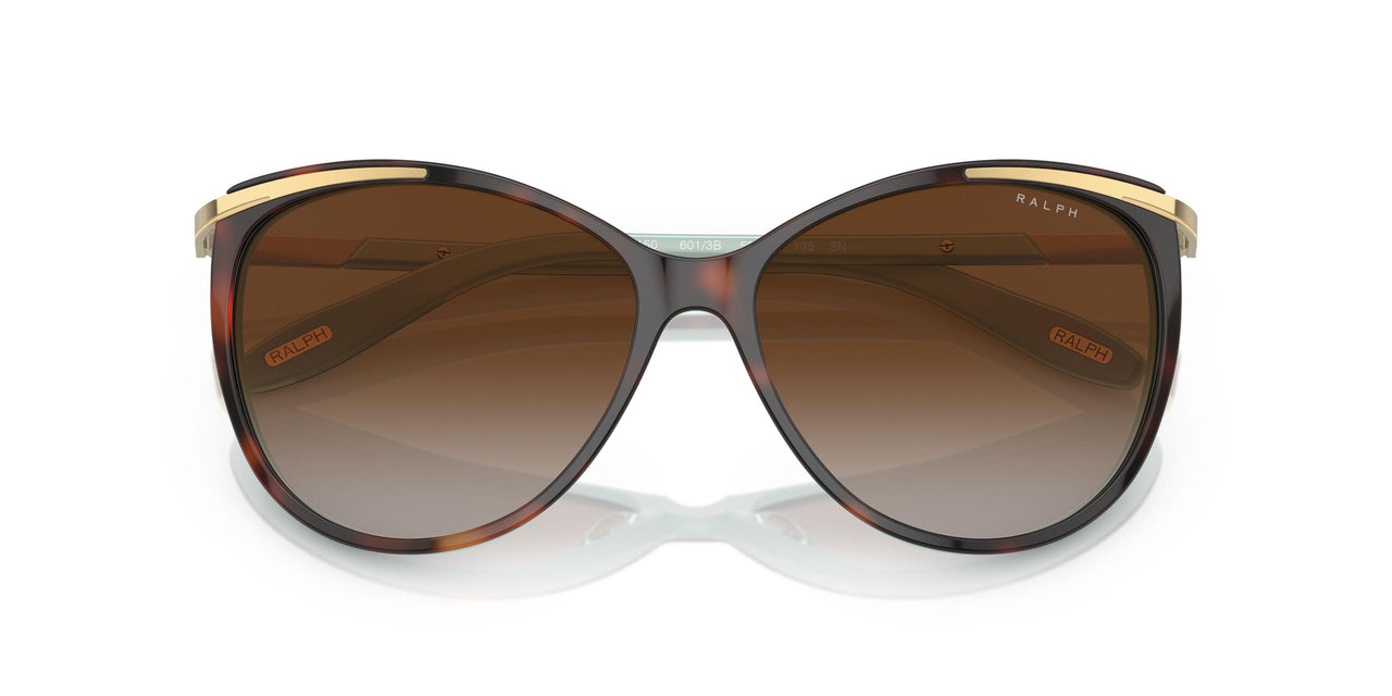 601/3B - Brown - Gradient Brown