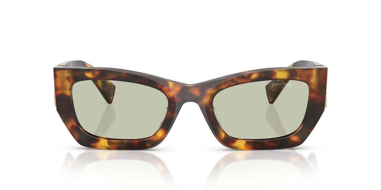 14L50O - Tortoise - Green