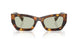 14L50O - Tortoise - Green