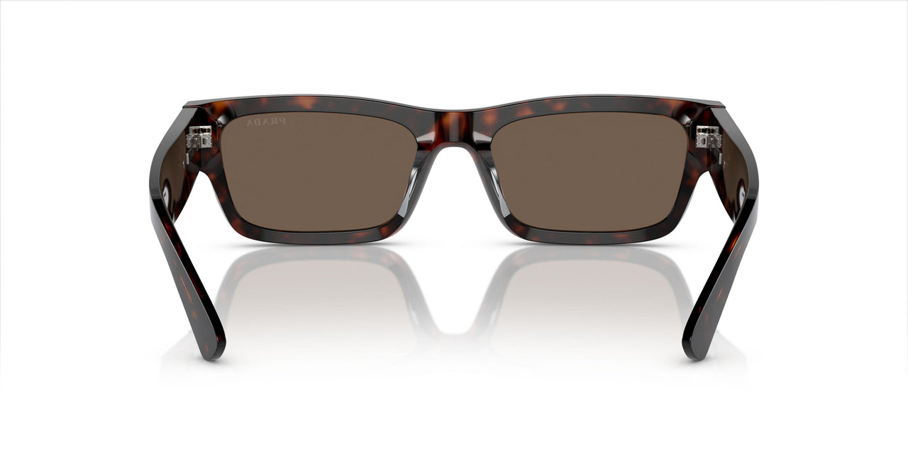 17N08T - Tortoise - Brown