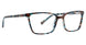 Life Is Good LGTAYLOR Eyeglasses