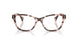 6058 - Tortoise