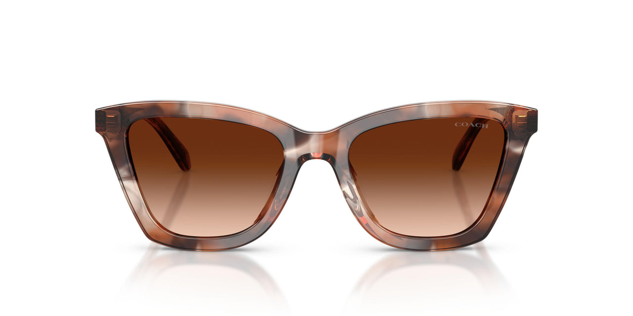 596574 - Brown - Brown Gradient