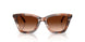 596574 - Brown - Brown Gradient