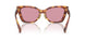 11Q50D - Brown - Bordeaux