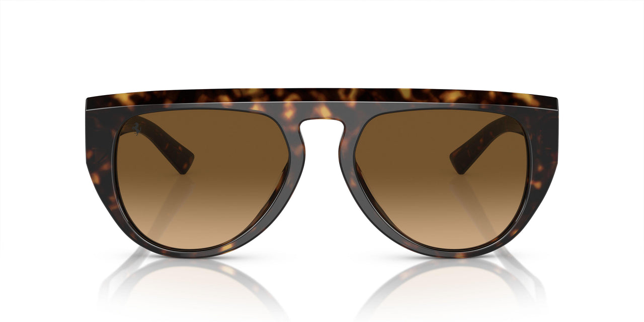 702/M2 - Tortoise - Polarized Brown Gradient