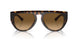 702/M2 - Tortoise - Polarized Brown Gradient