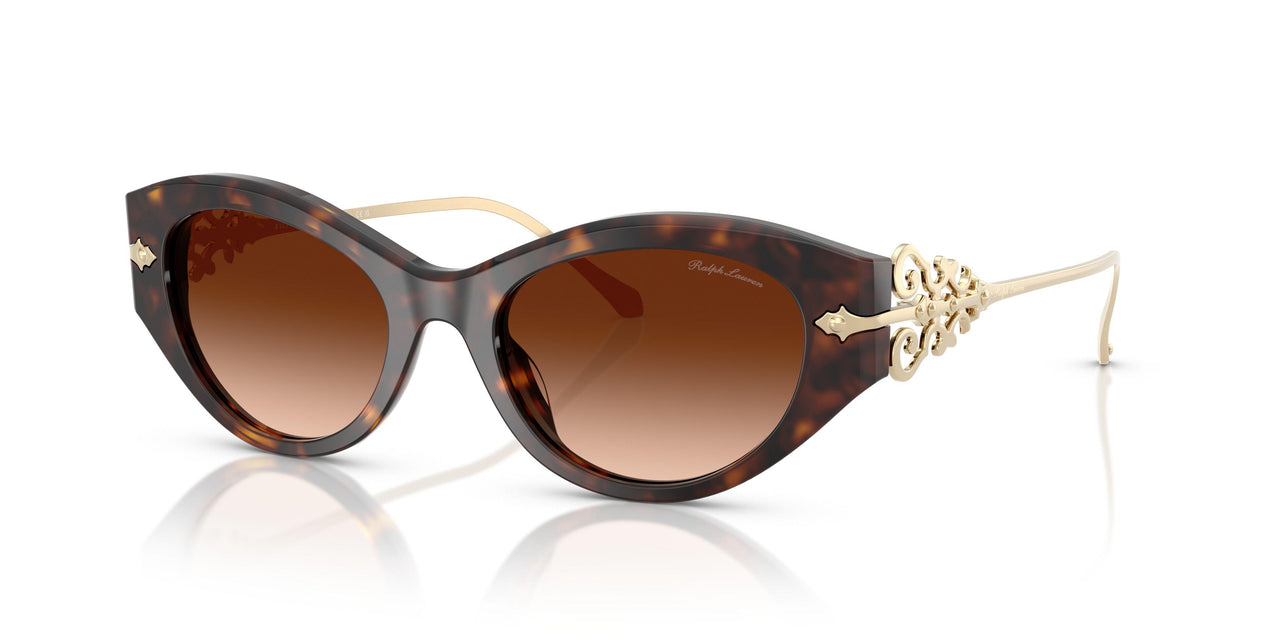 500374 - Brown - Gradient Brown