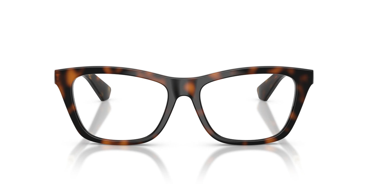 3002 - Brown