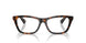 3002 - Brown