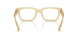 11T1O1 - Brown