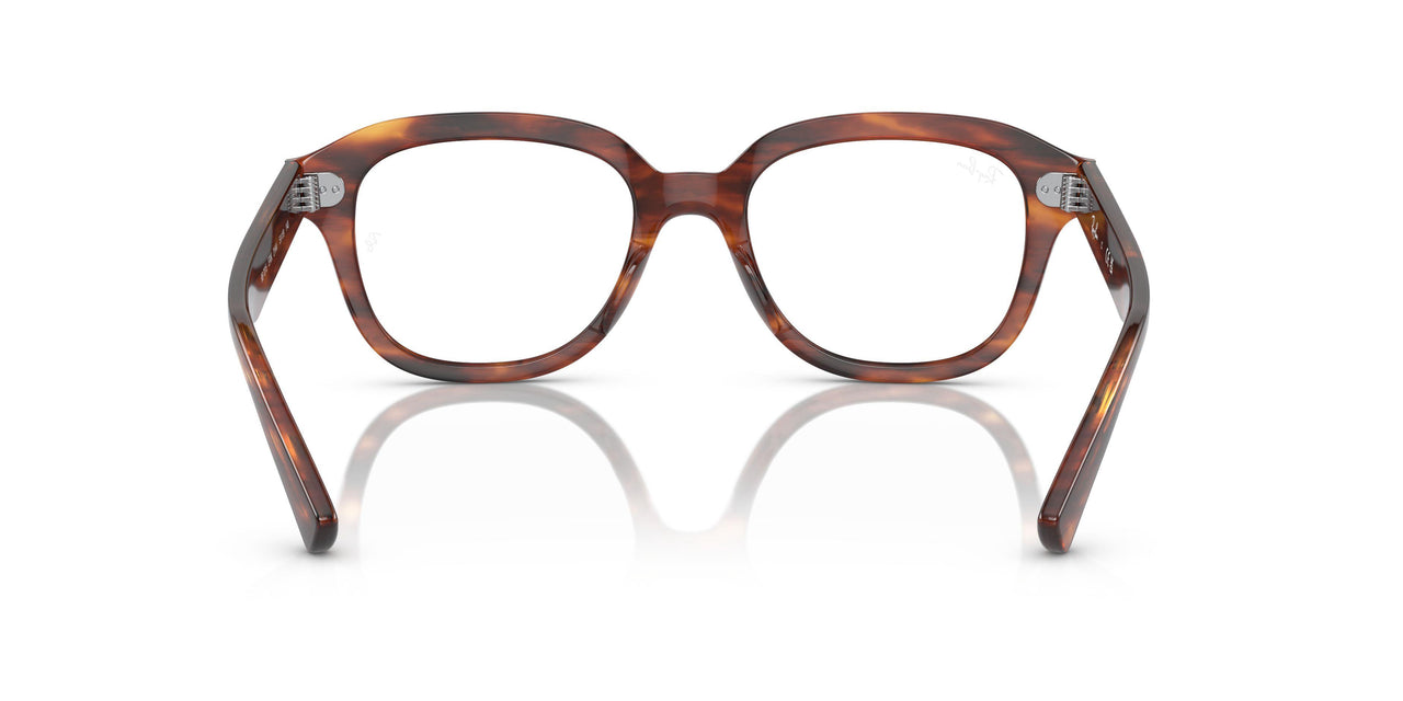 2144 - Brown - Clear