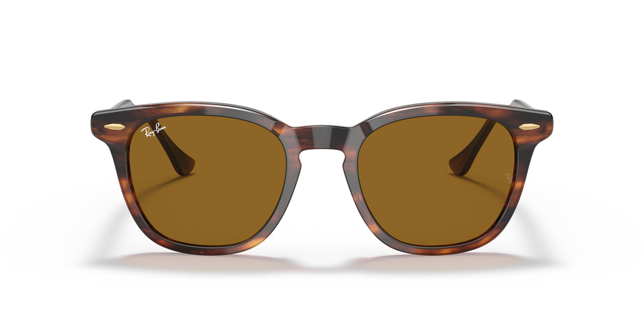 954/33 - Havana - Brown